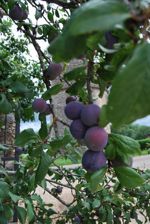 Mas De Garrigue Bed & Breakfast Calvignac Eksteriør bilde